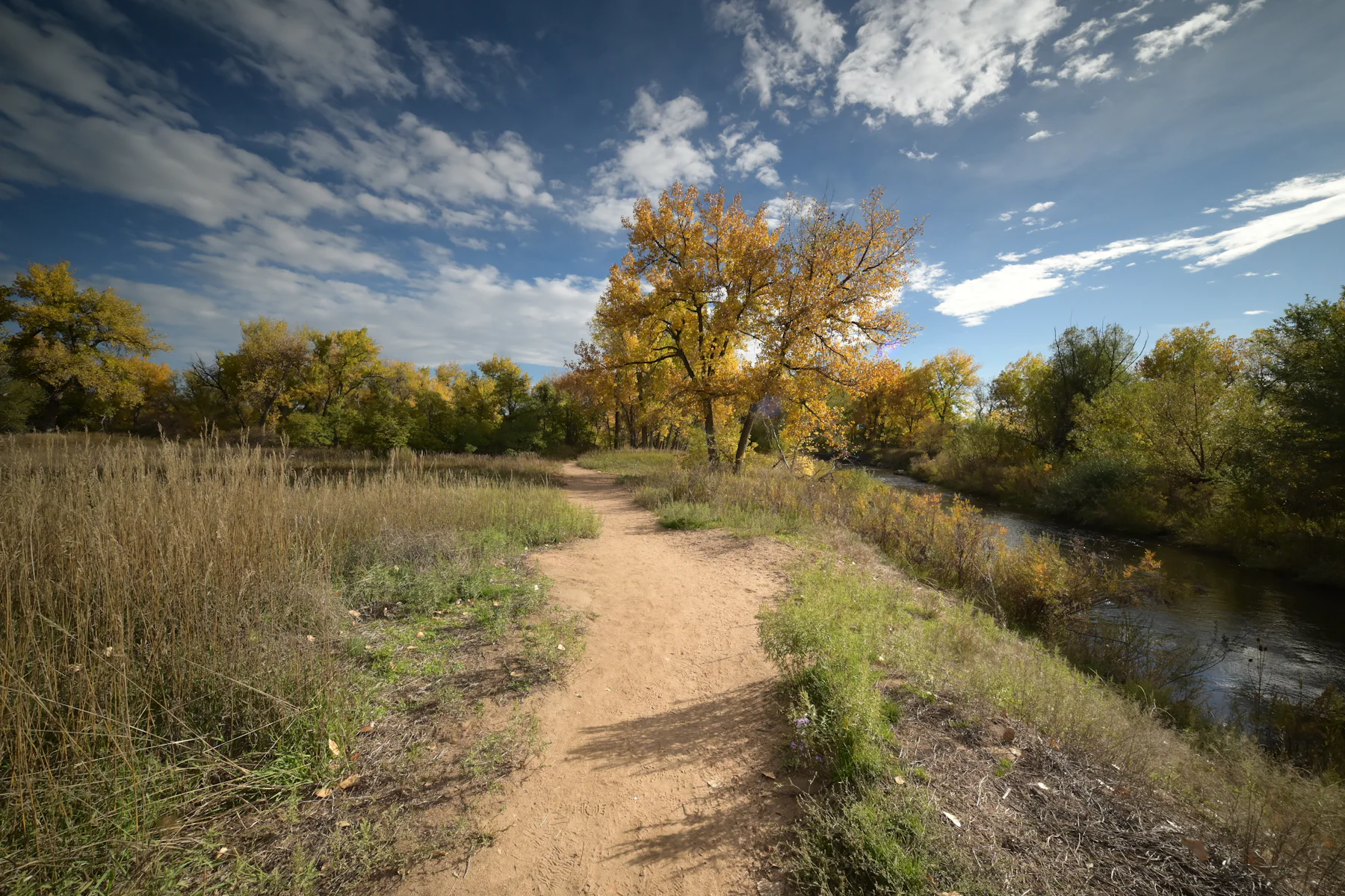 A dirt path runs beside a river, with cottonwoods in autumn colour under a wide sky.