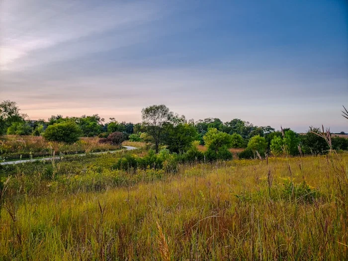 Rolling prairie hills with native grasses in warm afternoon light